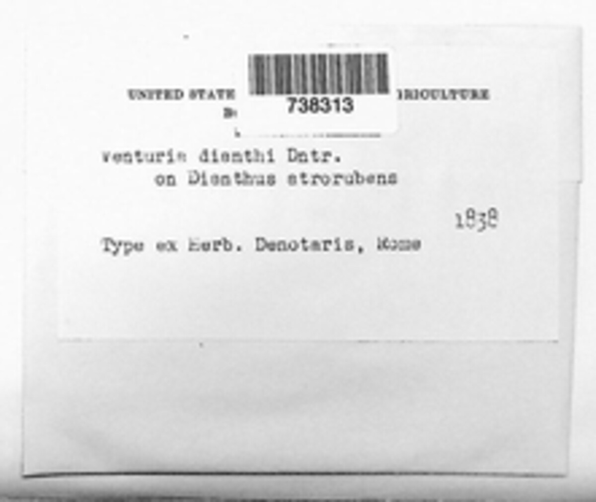 Venturia dianthi image
